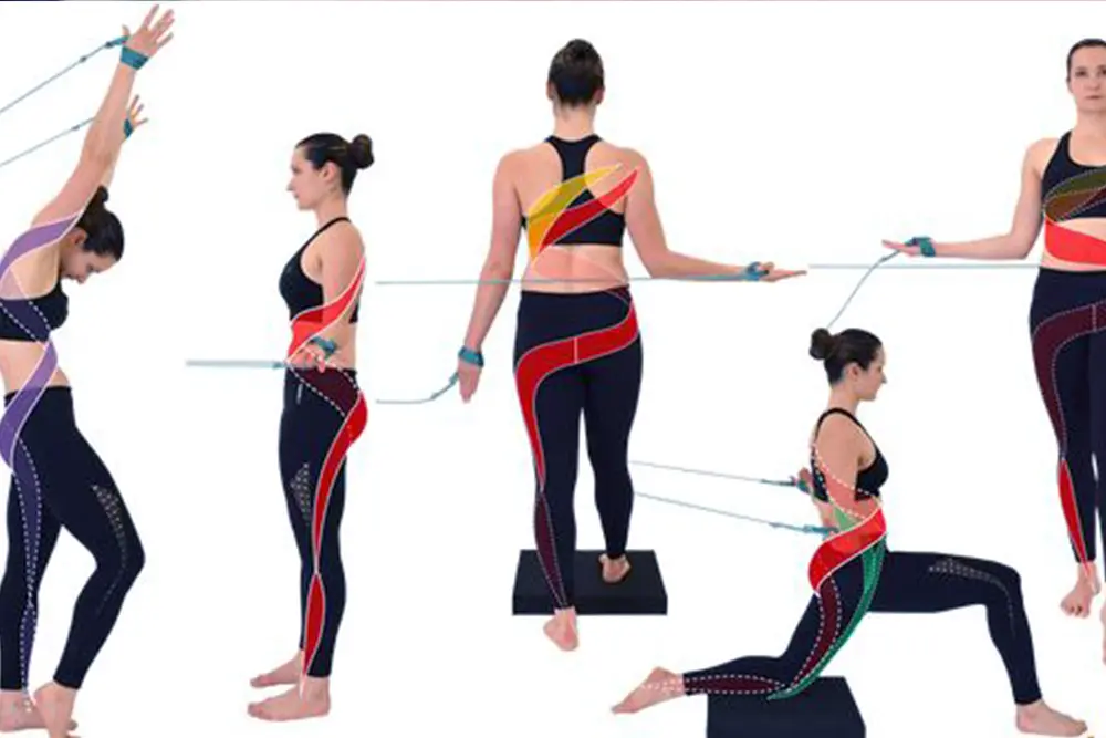 Spiraalstabiliseerimise baaskoolitus (venitused ja harjutused)