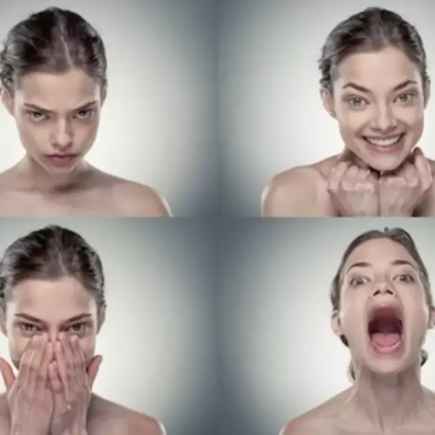 Мимика и эмоции. Лицо как отражение внутреннего состояния (предоплата)