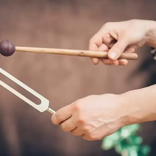 Использование камертонов и лимфодренаж (предоплата)